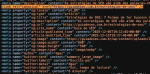 Captura de tela com exemplo de canonical tag